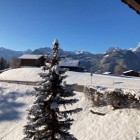 Chalet Soldanella 10 Guests Ґштад Екстер'єр фото